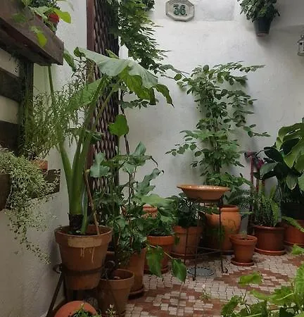 Apartment Casa 